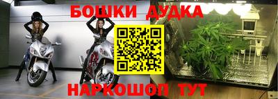 PSILOCYBIN Ипатово