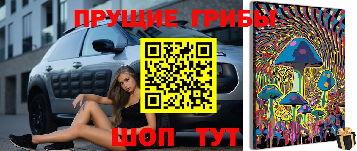 Галлюциногенные грибы GOLDEN TEACHER Каспийск